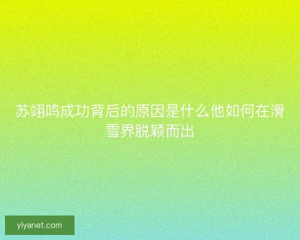 苏翊鸣成功背后的原因是什么他如何在滑雪界脱颖而出 苏翊鸣成功背后的原因是什么他如何在滑雪界脱颖而出