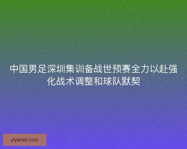中国男足深圳集训备战世预赛全力以赴强化战术调整和球队默契