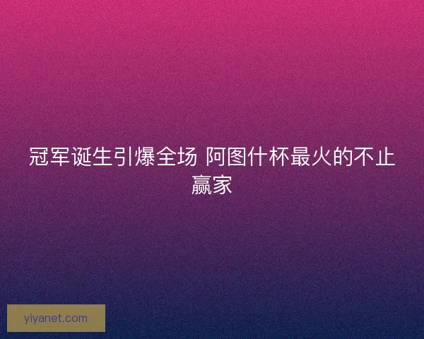 冠军诞生引爆全场 阿图什杯最火的不止赢家 冠军诞生引爆全场 阿图什杯最火的不止赢家